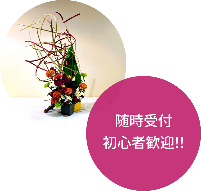随時受付
初心者歓迎!!
